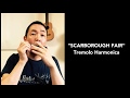 山口牧「スカボロフェアー」複音ハーモニカ　MAKI YAMAGUCHI　"SCARBOROUGH FAIR" Tremolo Harmonica