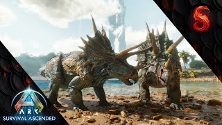 Ark Survival Ascended How To Tame A Triceratops Trike