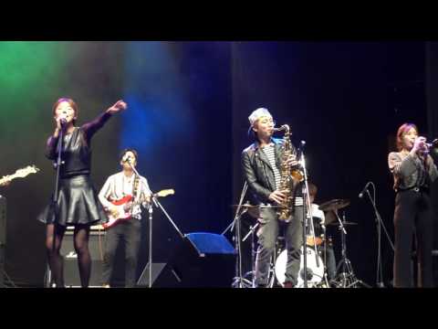 오리엔탈쇼커스 뻐꾸기 둥지 위로 날아간 새 트라이볼 20161015