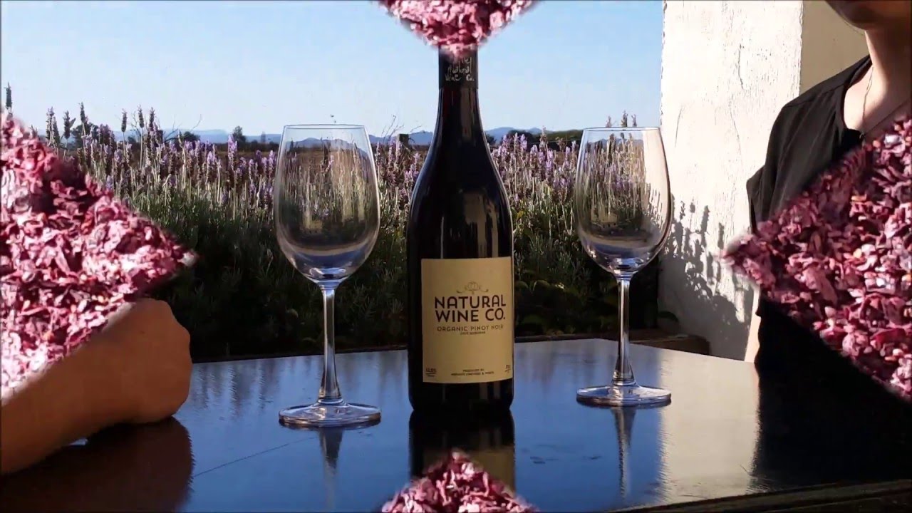 How to make Pinot Noir Winemaking in New Zealand