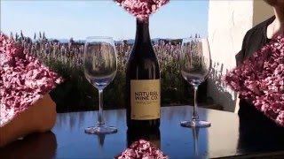 How to make Pinot Noir Winemaking in New Zealand
