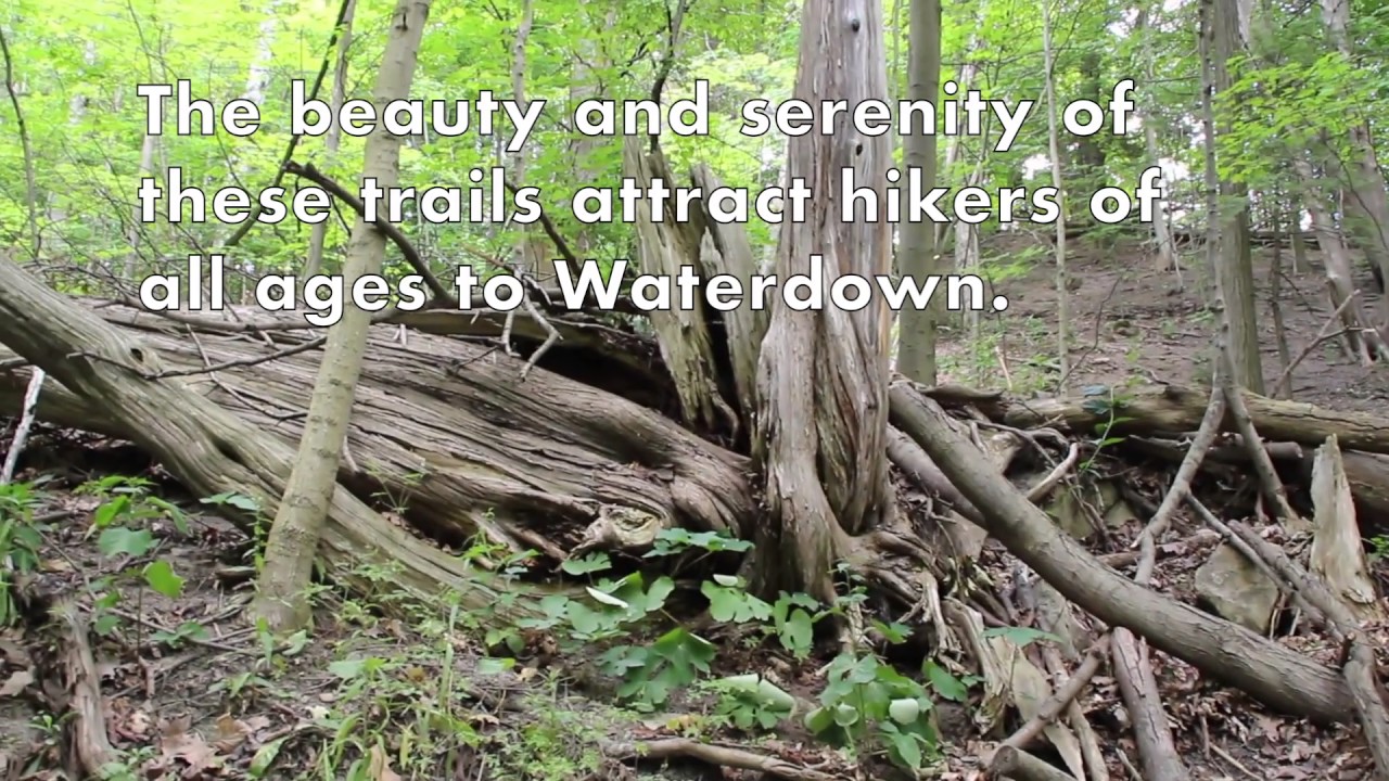 Explore Beautiful Waterdown - Bruce Trail, Smokey Hollow