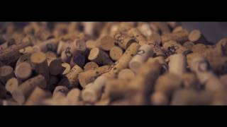 Deň Modranských Pivníc 2017