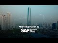 An Introduction to SAP Business One?