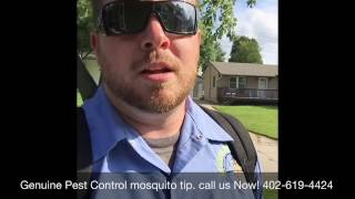 Get rid of mosquitoes Omaha | Genuine Pest Control