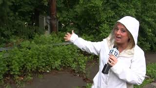 Mt. Vernon mayor blames flooding on storm water system after city declares state of emergency
