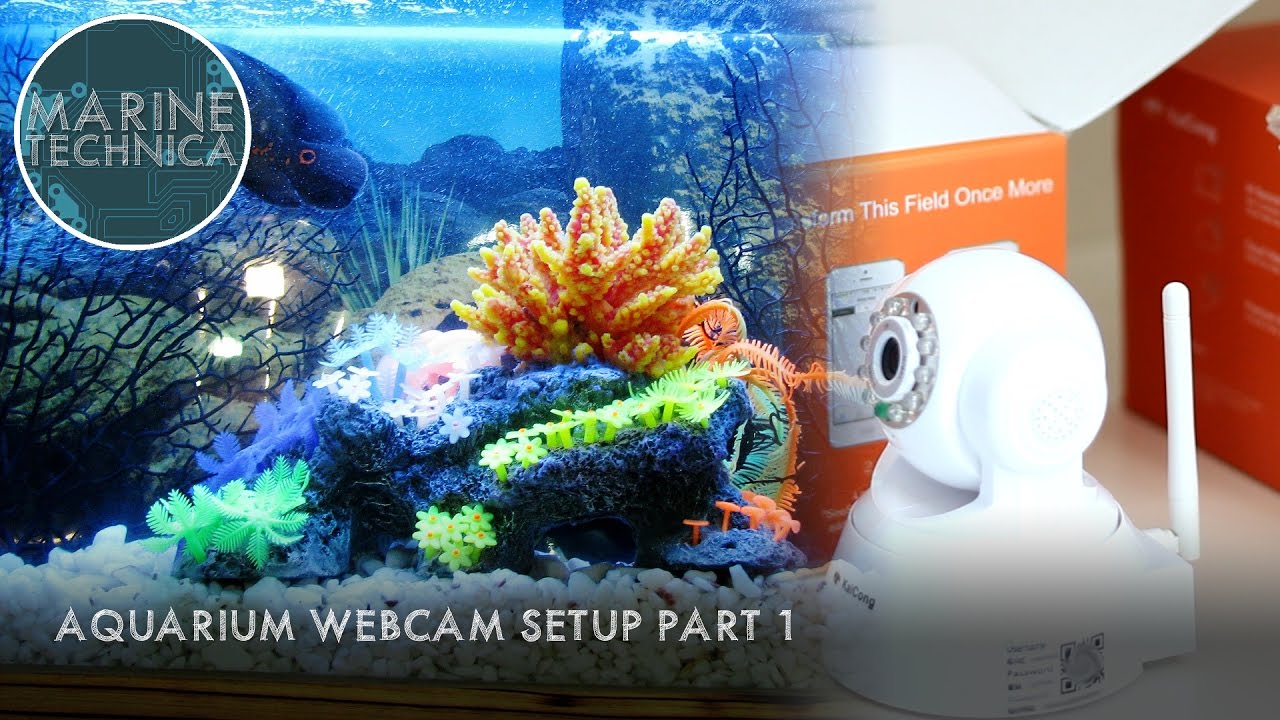 How to Prepare an Aquarium cam Part 1/2 YouTube