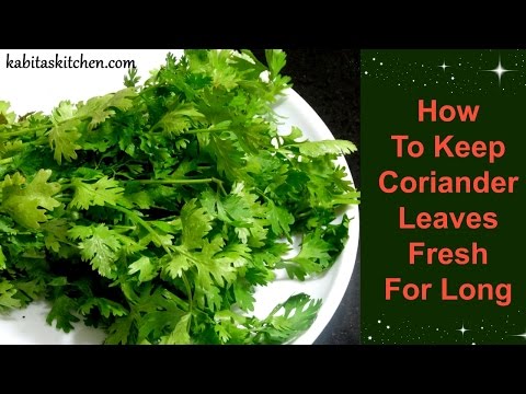 How To Keep Coriander Leaves Fresh For Long | Useful Kitchen Tip by Kabitaskitchen