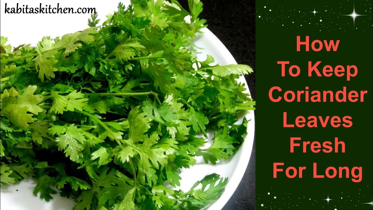 How To Keep Coriander Leaves Fresh For Long | Useful Kitchen Tip by Kabitaskitchen | Kabita Singh | Kabita