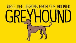 Learning Like a Greyhound