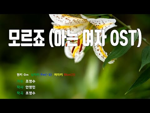 [은성 반주기] 모르죠(아는여자OST) - 조영수