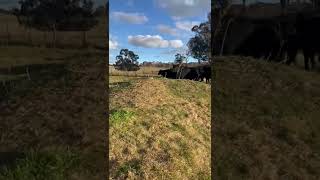 IMG 5787
