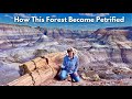 Petrified Forest National Park Quiz