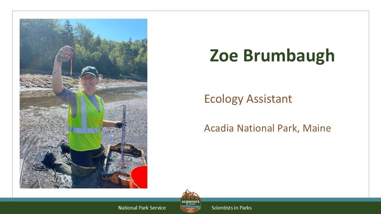 Zoe Brumbaugh - Brown Bag Science Talk