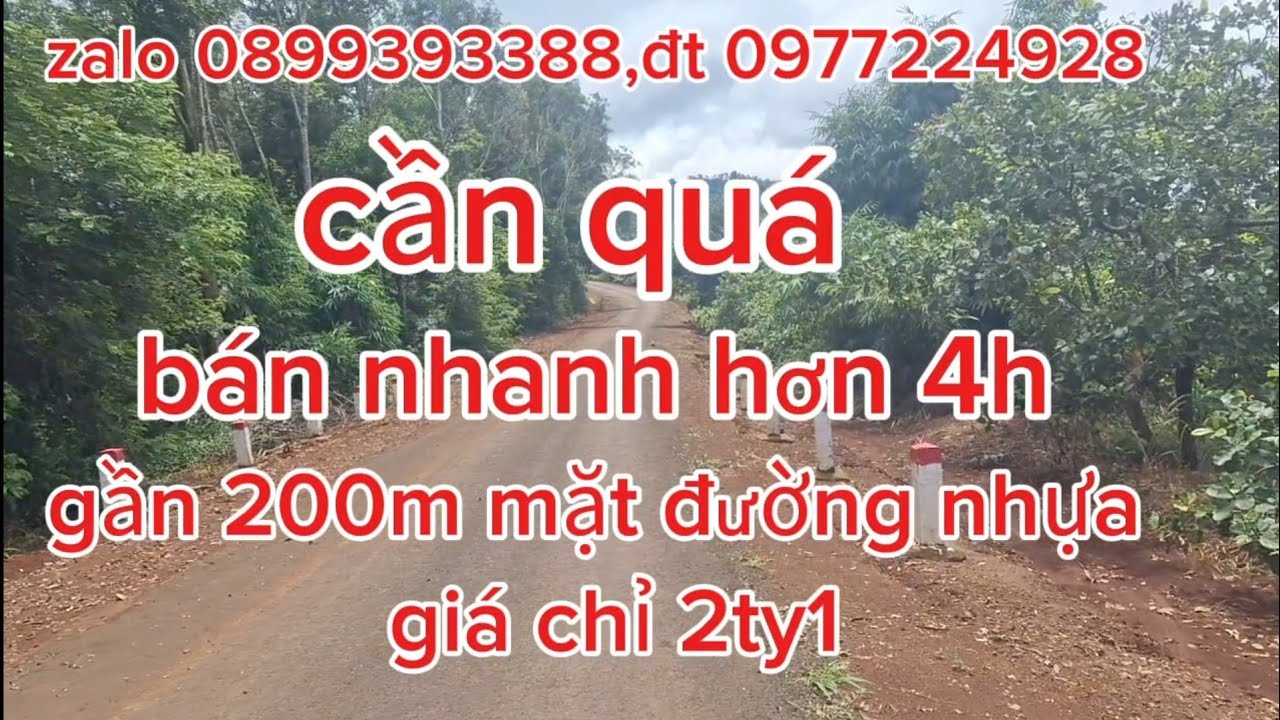 QUÁ SỐC hơn 4h đất mặt tiền đường nhựa giá chỉ 2ty1