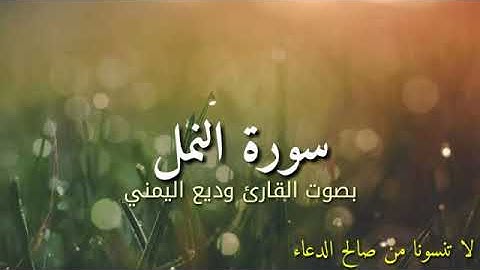سورة النمل بصوت القارئ وديع اليمني