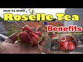 Comment faire du th roselle hibiscus  partir de fleurs fraches  avantages roselle for health