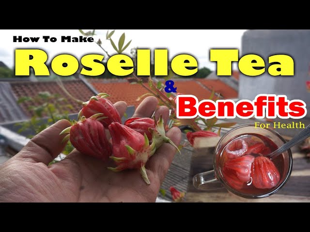 Hibiscus Tea (Roselle)