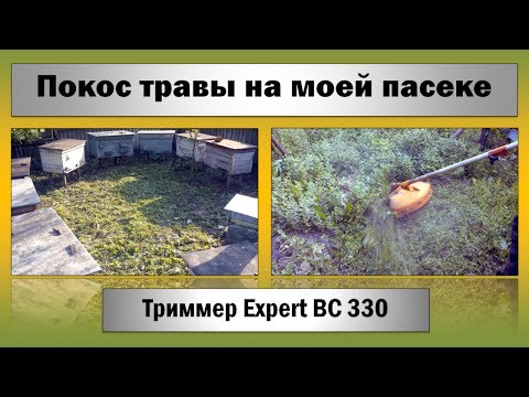 Покос травы на пасеке ☆ Бензокоса Expert BC 330.