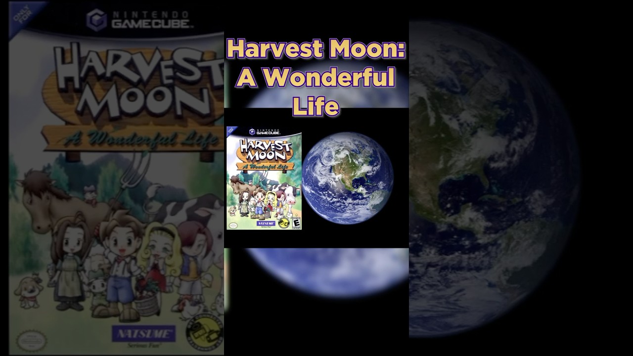 From 2003 to 2023: A Wonderful Comeback 🌾👑 