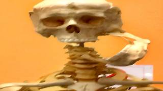 1 hour of memes but it's actually impossible