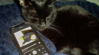 Cats in the cold - Mage Tears (Slowed)