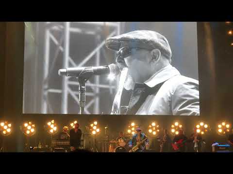 Madness: "Benny Bullfrog" Live at the House Of Fun Weekender 2017