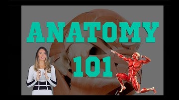 Anatomy 101 Course