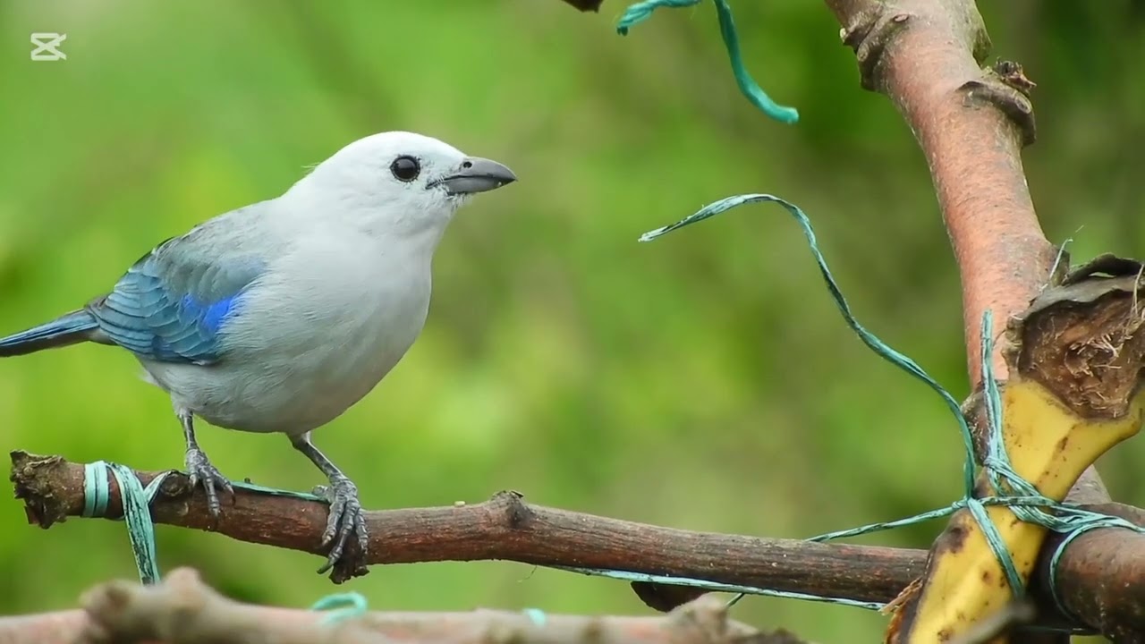 في أحضان الطبيعة🤩🤩🤩🤩🤩dans le giron de la nature