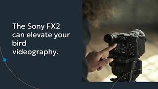 How Can Sony FX2 Take Wildlife Videography to the Next Level?