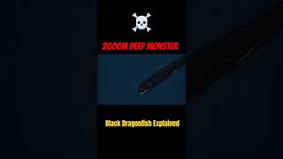 2000m Deep Monster | Black Dragonfish Explained #deepsea #blackdragonfish #shorts