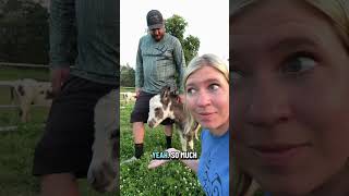 Part 2: Josh’s new donkey!