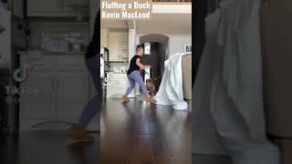 Kevin Macleod  Fluffing A Duck best Part For shorts