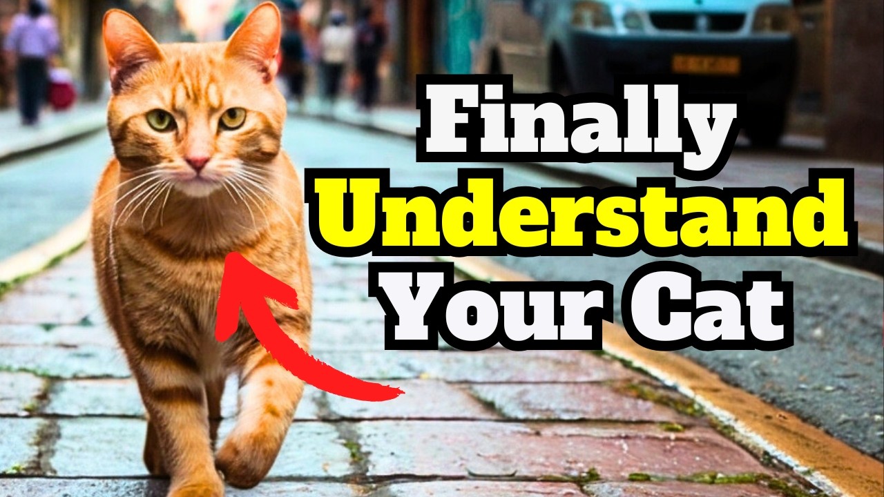 60 Shocking Cat Secrets You Never Knew (Full 1-Hour Guide!)