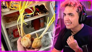 Encontré Un Ecosistema En Esta Heladera Parte 2