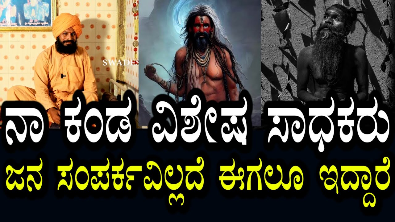 ನಾ ಕಂಡ ಸಾಧಕರು