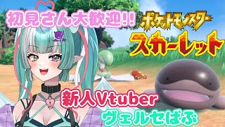 【ポケモンSV配信#08】エンドコンテンツ?やる😈初見さん大歓迎✨【新人女性Vtuber/ヴェルセばぶ】