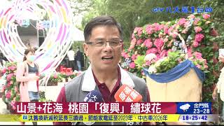 白粉藍紫花海 桃園繡球花季登場 八大民生新聞 2021050814