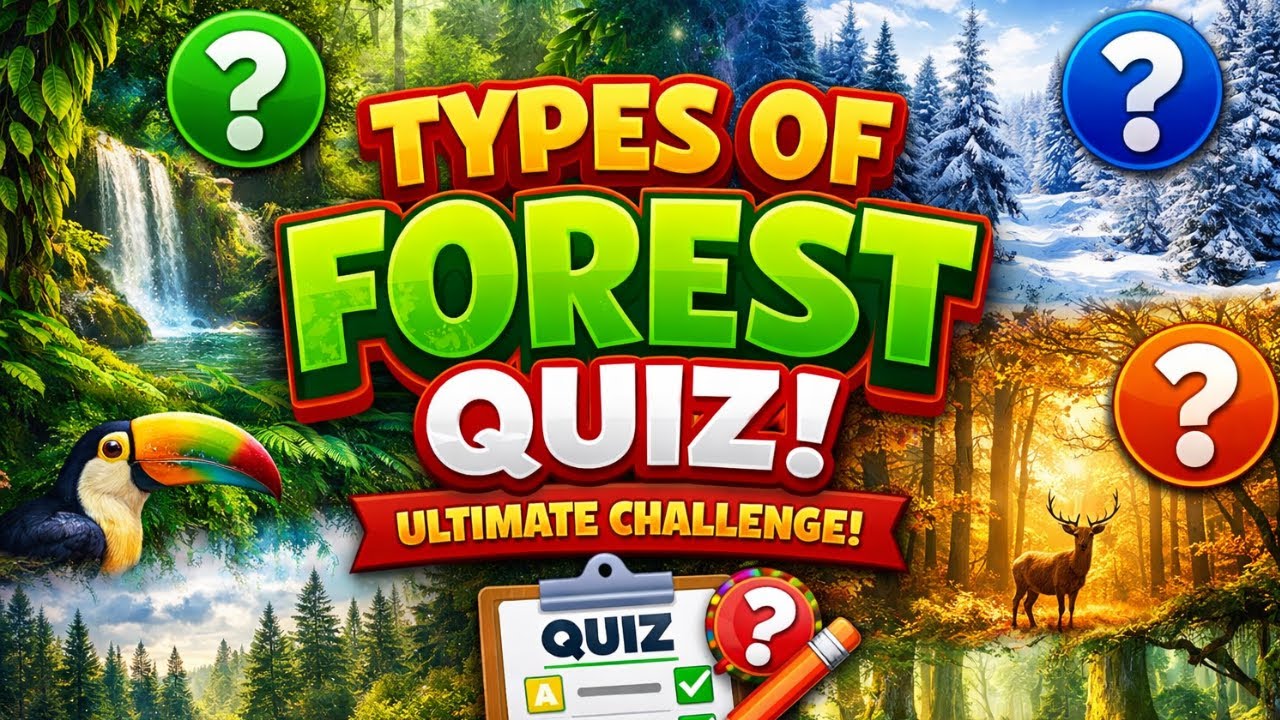 FOREST QUIZIIGUESS THE FOREST II ULTIMATE FOREST CHALLENGE II QUIZ TIME ...