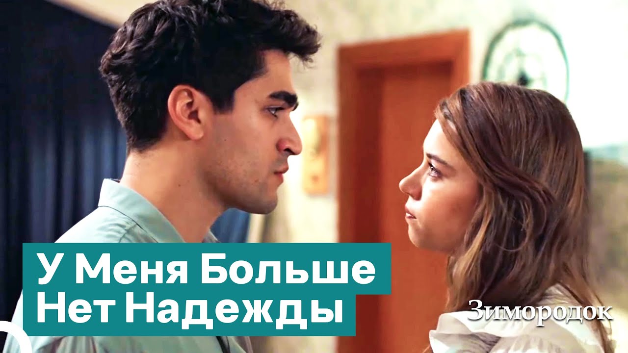 Семена Ненависти На Пути к Нам | Зимородок