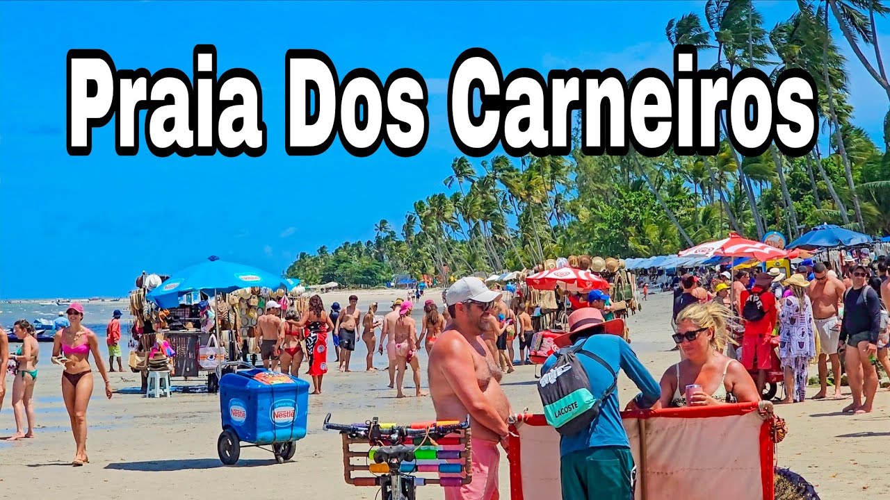Praia Dos Carneiros Tamandaré  Pernambuco Informações Importantes 