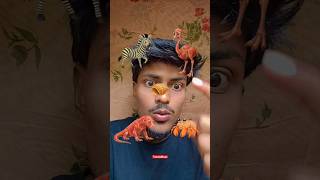 Impossible Tutorial Challenge 😱🥶 || #tricks #noads