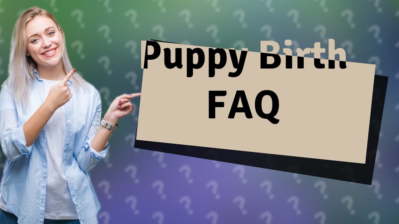 Can Puppies Be Born On Day 57 YouTube can-puppies-be-born-on-day-57-youtube