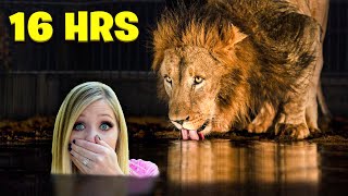 Overnight Survival Challenge in the World's Largest ZOO!