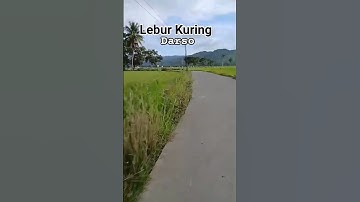 Lembur Kuring _ Mani waraas pisan #darso #lembur #pasawahan