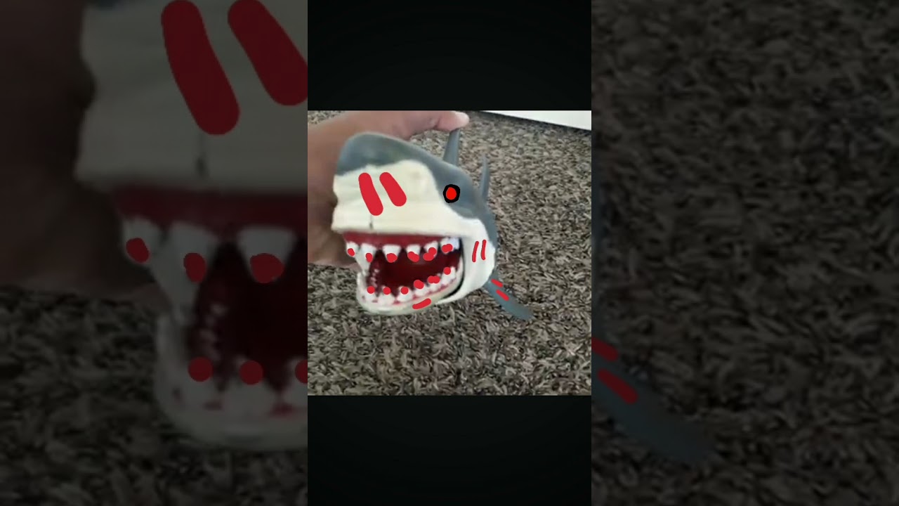 Leo & Katie 2023 2024 Alternate Ending Audio Only