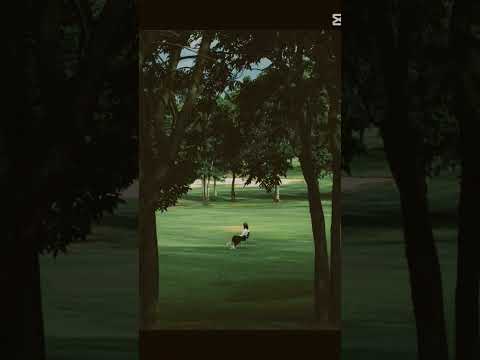 مجرد دمج ما بين اغنيتين مفضلتين 