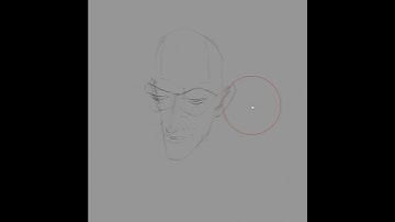 Blender Grease pencil, handdrawn 3d head.