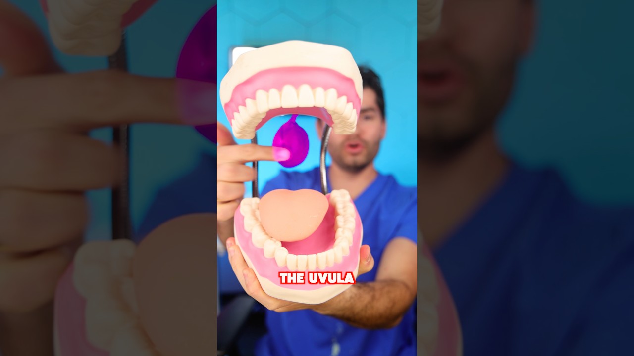 Dentist Explains Uvula !? Learning Hack