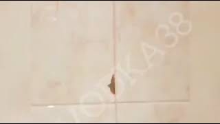 IrkutskMedia – Землетрясение в Иркутске 10 декабря